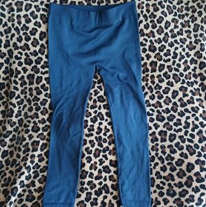 Stretchy Lined Leggings Size 2X